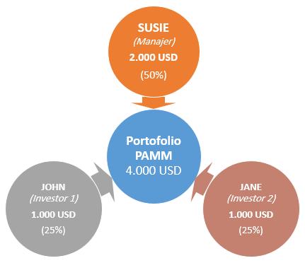 Contoh 1 Investasi PAMM Alpari